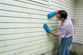 Best Historical Building Siding Restoration  in Kapn, LA